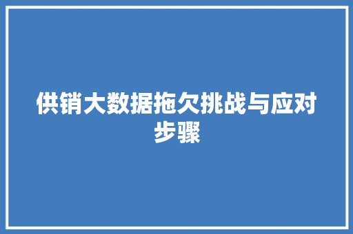 供销大数据拖欠挑战与应对步骤