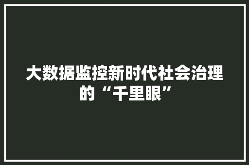 大数据监控新时代社会治理的“千里眼”