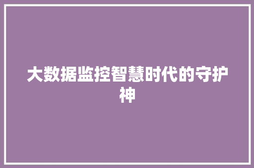 大数据监控智慧时代的守护神  第1张