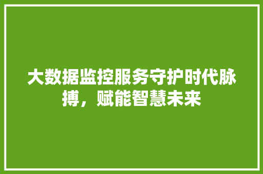 大数据监控服务守护时代脉搏，赋能智慧未来  第1张
