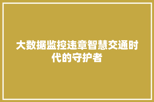 大数据监控违章智慧交通时代的守护者
