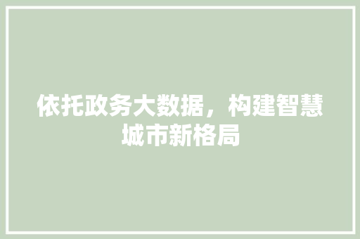 依托政务大数据，构建智慧城市新格局  第1张
