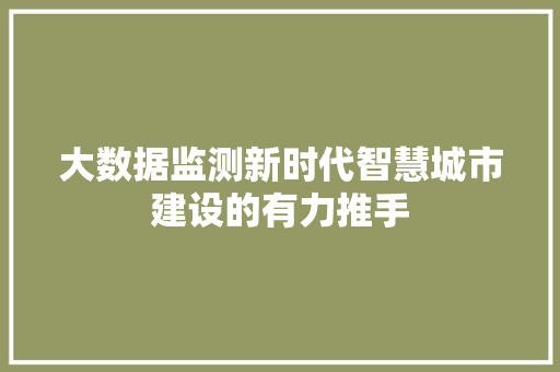 大数据监测新时代智慧城市建设的有力推手