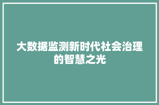 大数据监测新时代社会治理的智慧之光  第1张