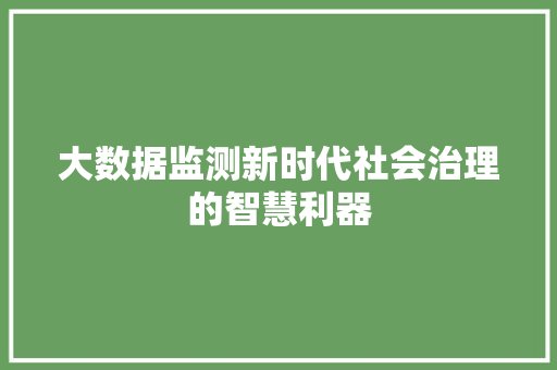 大数据监测新时代社会治理的智慧利器