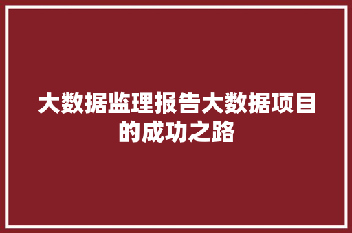大数据监理报告大数据项目的成功之路