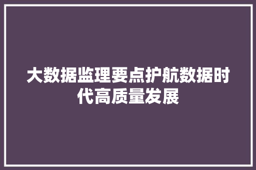 大数据监理要点护航数据时代高质量发展