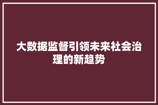 大数据监督引领未来社会治理的新趋势