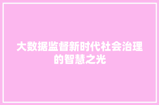 大数据监督新时代社会治理的智慧之光  第1张
