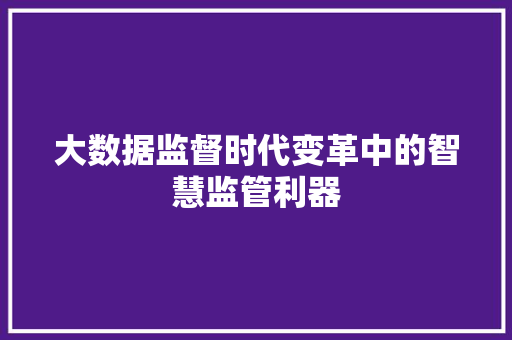 大数据监督时代变革中的智慧监管利器