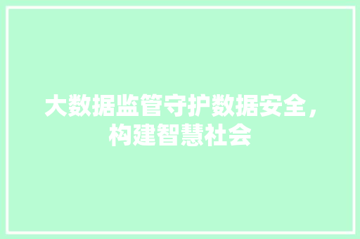 大数据监管守护数据安全，构建智慧社会