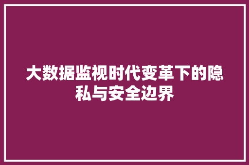 大数据监视时代变革下的隐私与安全边界