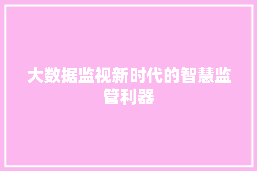 大数据监视新时代的智慧监管利器
