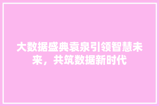 大数据盛典袁泉引领智慧未来，共筑数据新时代  第1张