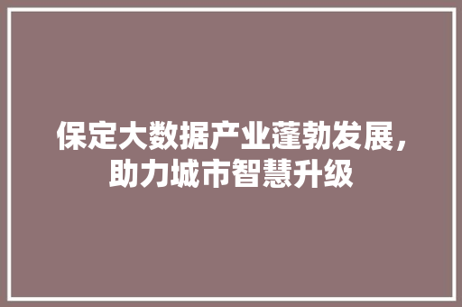 保定大数据产业蓬勃发展，助力城市智慧升级  第1张
