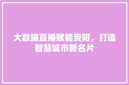 大数据直播赋能贵阳，打造智慧城市新名片  第1张