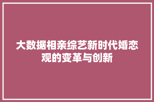 大数据相亲综艺新时代婚恋观的变革与创新