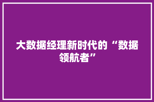 大数据经理新时代的“数据领航者”