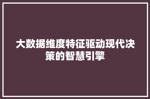 大数据维度特征驱动现代决策的智慧引擎