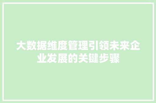 大数据维度管理引领未来企业发展的关键步骤
