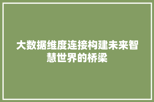 大数据维度连接构建未来智慧世界的桥梁