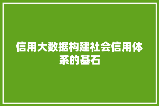 信用大数据构建社会信用体系的基石  第1张