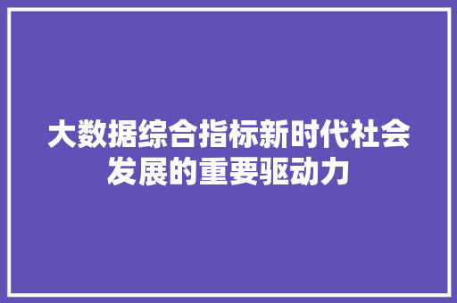 大数据综合指标新时代社会发展的重要驱动力  第1张