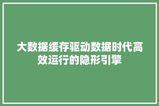大数据缓存驱动数据时代高效运行的隐形引擎  第1张
