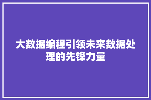 大数据编程引领未来数据处理的先锋力量