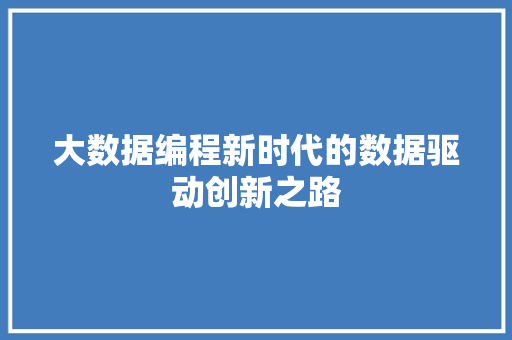 大数据编程新时代的数据驱动创新之路