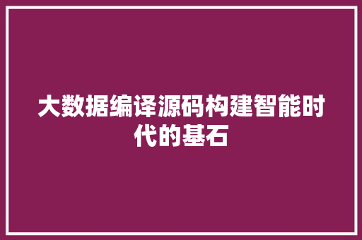 大数据编译源码构建智能时代的基石