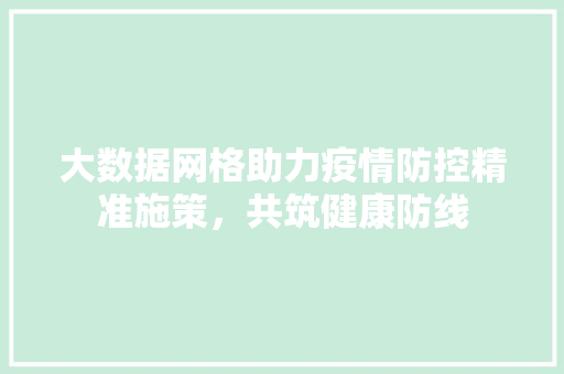大数据网格助力疫情防控精准施策，共筑健康防线