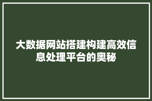 大数据网站搭建构建高效信息处理平台的奥秘  第1张