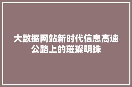 大数据网站新时代信息高速公路上的璀璨明珠