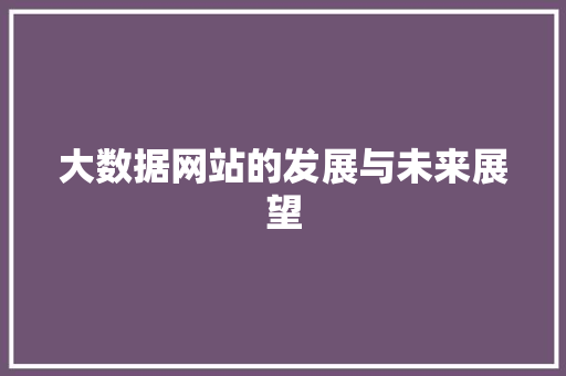 大数据网站的发展与未来展望