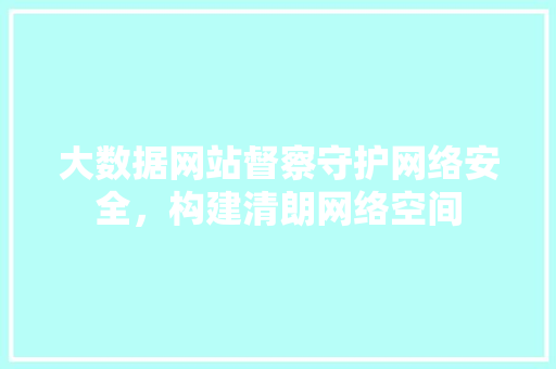 大数据网站督察守护网络安全，构建清朗网络空间  第1张