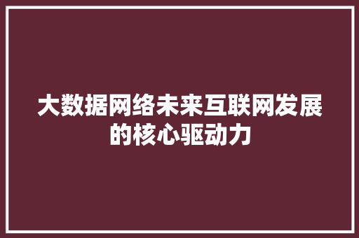 大数据网络未来互联网发展的核心驱动力  第1张