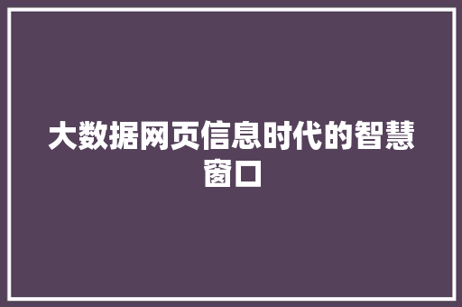 大数据网页信息时代的智慧窗口