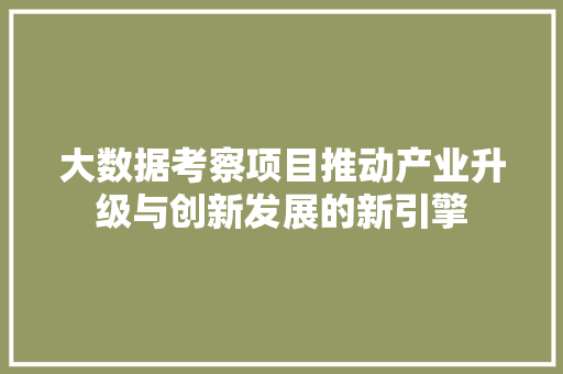 大数据考察项目推动产业升级与创新发展的新引擎  第1张