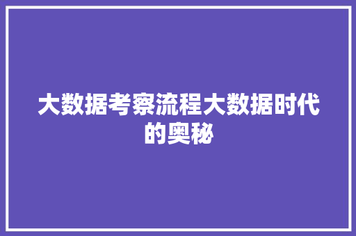 大数据考察流程大数据时代的奥秘  第1张
