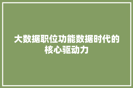 大数据职位功能数据时代的核心驱动力  第1张