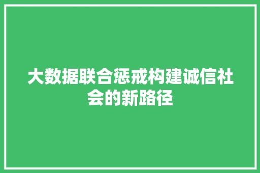 大数据联合惩戒构建诚信社会的新路径  第1张