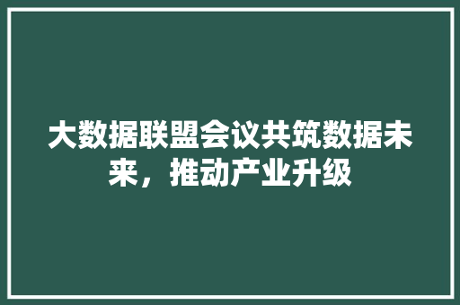 大数据联盟会议共筑数据未来，推动产业升级