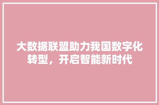 大数据联盟助力我国数字化转型，开启智能新时代