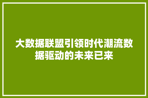 大数据联盟引领时代潮流数据驱动的未来已来