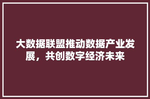 大数据联盟推动数据产业发展，共创数字经济未来