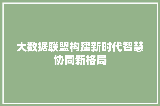 大数据联盟构建新时代智慧协同新格局