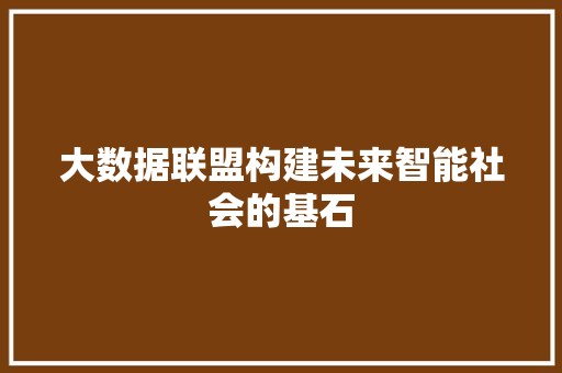 大数据联盟构建未来智能社会的基石