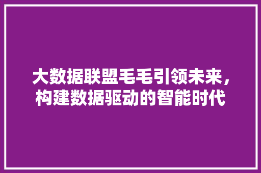 大数据联盟毛毛引领未来，构建数据驱动的智能时代  第1张