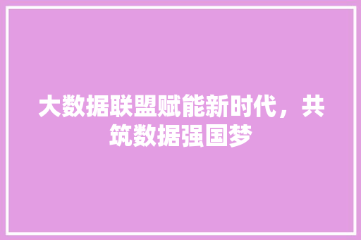 大数据联盟赋能新时代，共筑数据强国梦